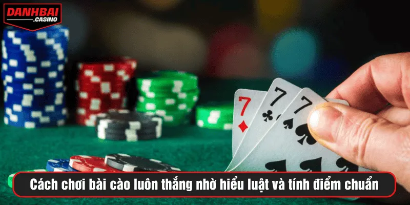 Cách chơi bài cào luôn thắng nhờ hiểu luật và tính điểm chuẩn