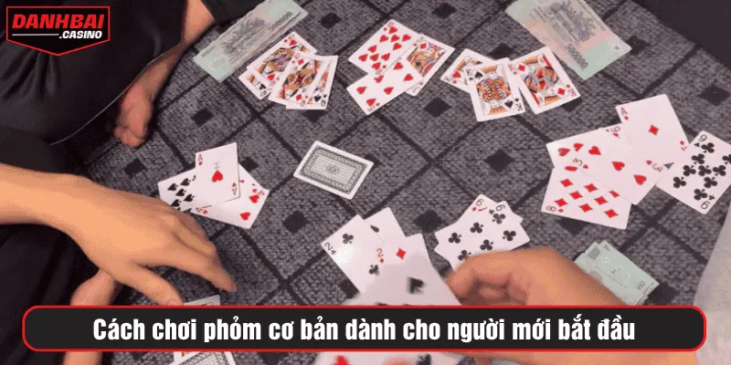 Cách chơi phỏm cơ bản dành cho người mới bắt đầu