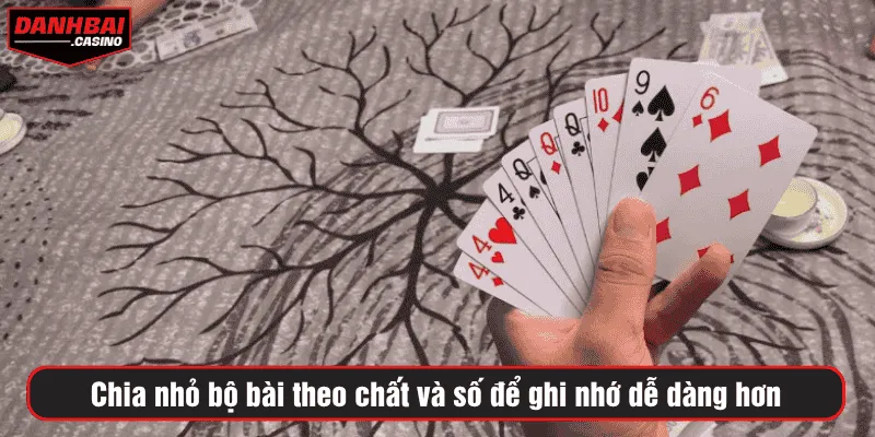 Chia nhỏ bộ bài theo chất và số để ghi nhớ dễ dàng hơn