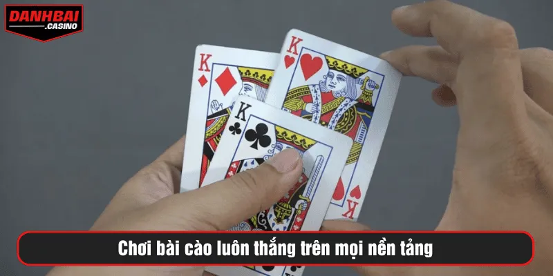 Chơi bài cào luôn thắng trên mọi nền tảng