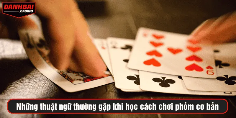 Những thuật ngữ thường gặp khi học cách chơi phỏm cơ bản