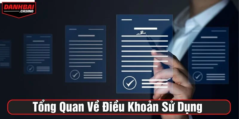 Thông tin điều khoản sử dụng