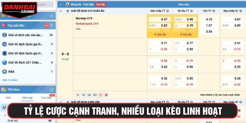 Tỷ lệ cược cạnh tranh, nhiều loại kèo linh hoạt