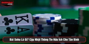 Bài Sohu Là Gì