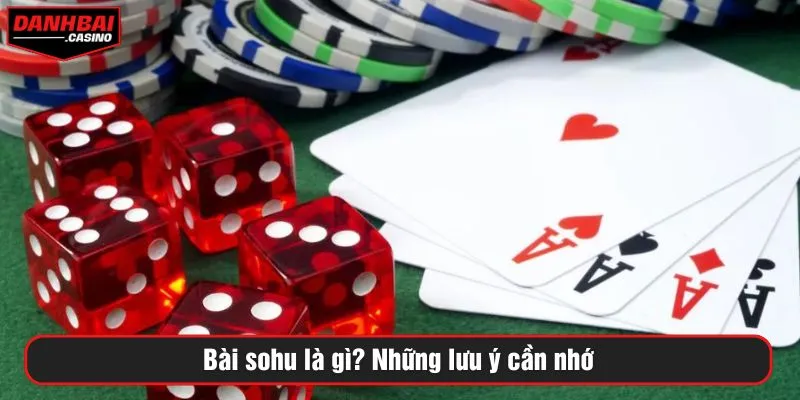 Bài sohu là gì? Những lưu ý cần nhớ
