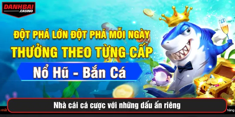 Nhà cái cá cược với những dấu ấn riêng