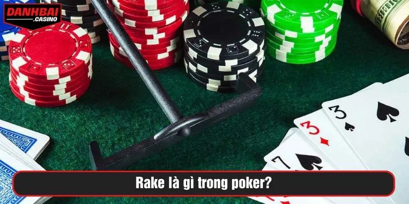 Rake là gì trong poker?
