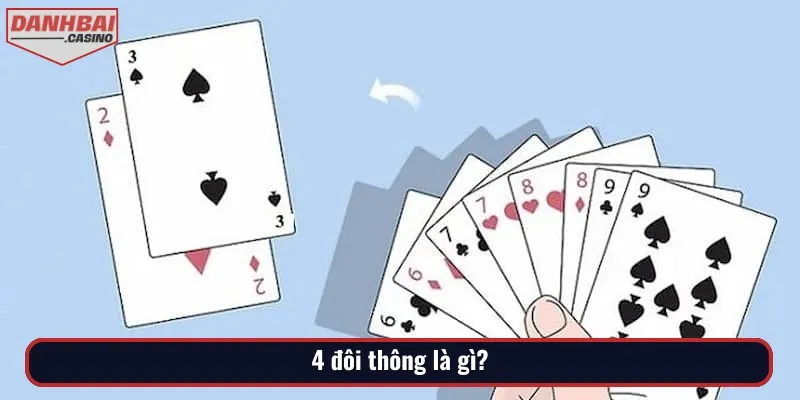 Khi tìm hiểu 4 đôi thông là gì, bạn sẽ dễ dàng hiểu được khái niệm này