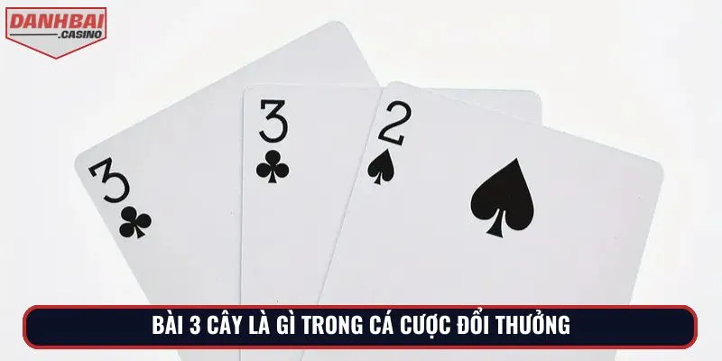 Bài 3 cây là gì trong cá cược đổi thưởng