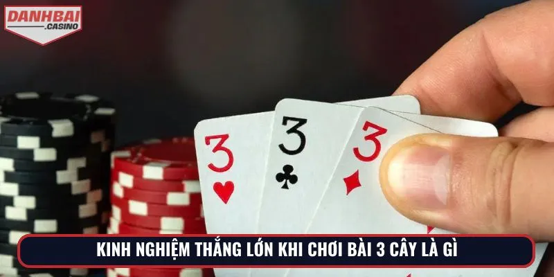 Kinh nghiệm thắng lớn khi chơi bài 3 cây là gì