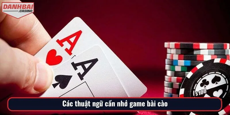 Điểm danh 7 thuật ngữ được sử dụng nhiều trong bài cào