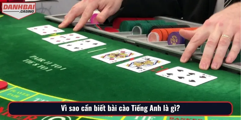 Có nhiều lý do mà anh em phải nắm rõ bài cào Tiếng Anh là gì