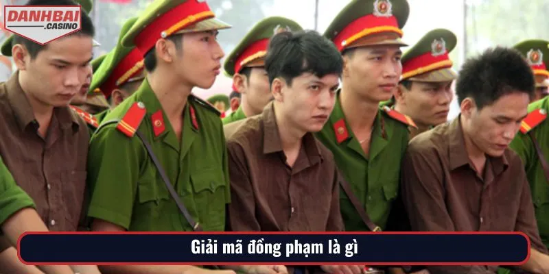 Giải mã đồng phạm là gì