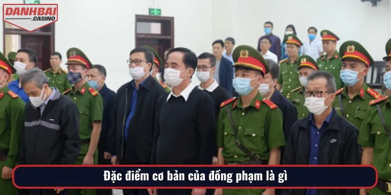 Đặc điểm cơ bản của đồng phạm là gì