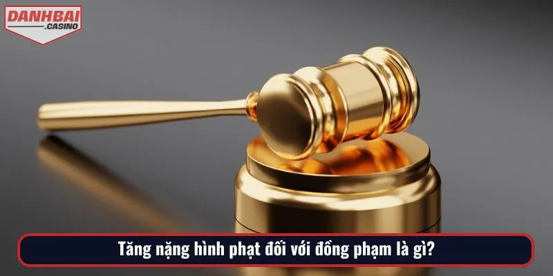Tăng nặng hình phạt đối với đồng phạm là gì?