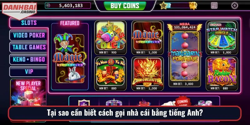 Tầm quan trọng của việc hiểu nhà cái trong cờ bạc Tiếng Anh là gì