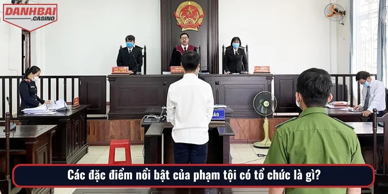 Một số đặc điểm để đánh giá phạm tội có tổ chức