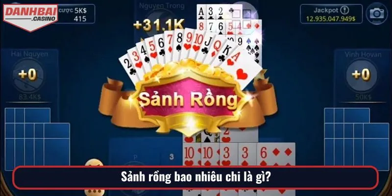 Khái quát về khái niệm sảnh rồng bao nhiêu chi