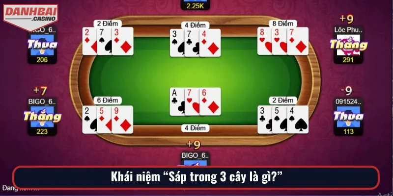 Giải thích khái niệm sáp trong 3 cây là gì cho người mới tìm hiểu