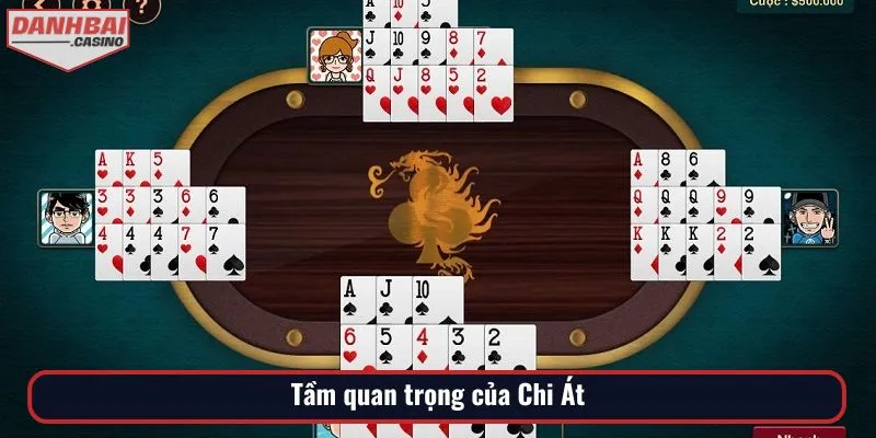 Tầm quan trọng của Chi Át